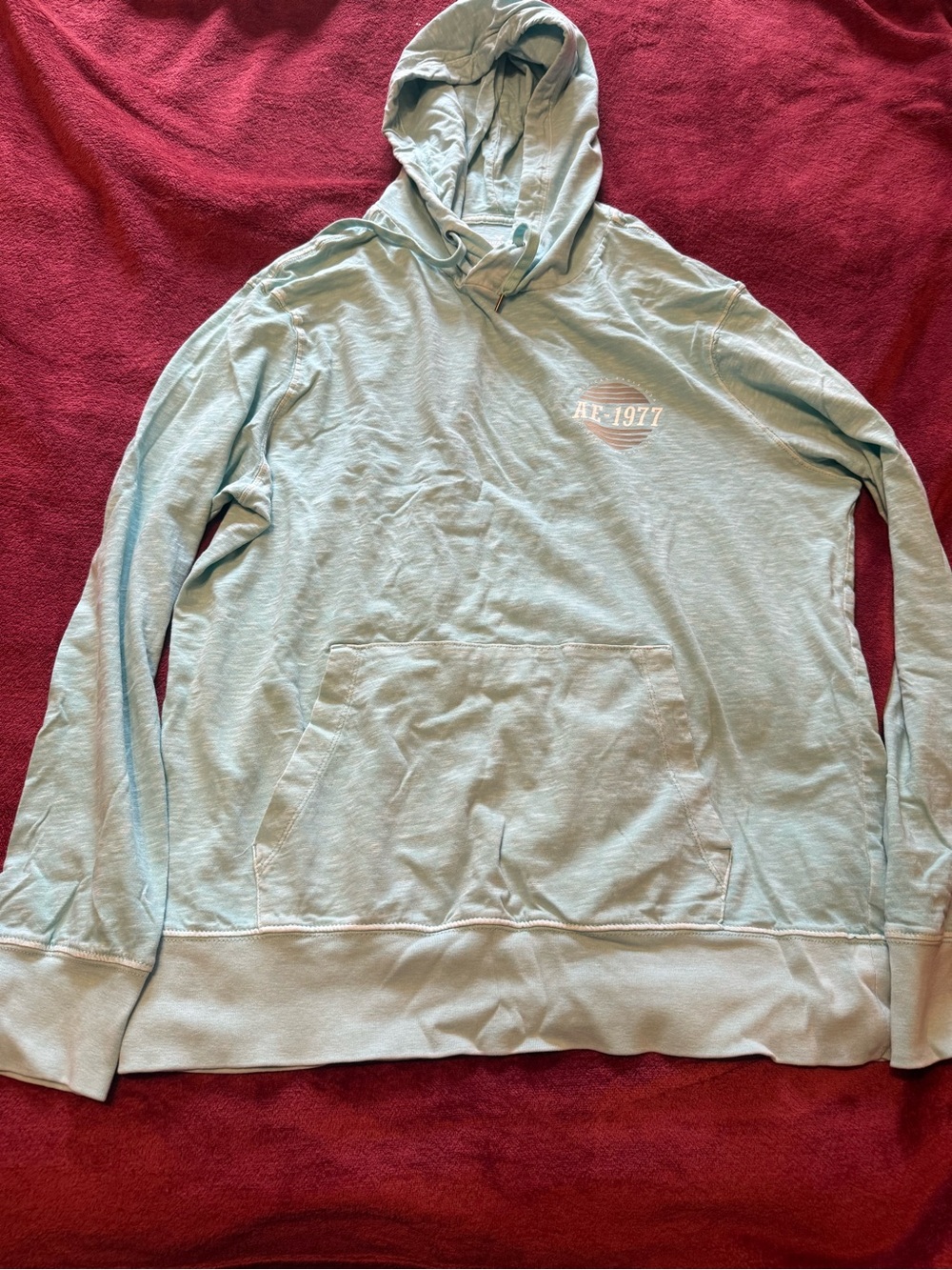 American Eagle Outfitters Light Seafoam Green Zip-Up Hoodie Sweater